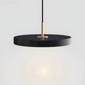 Lyra Aluminum Pendant Light With Acrylic Shade Minimalist