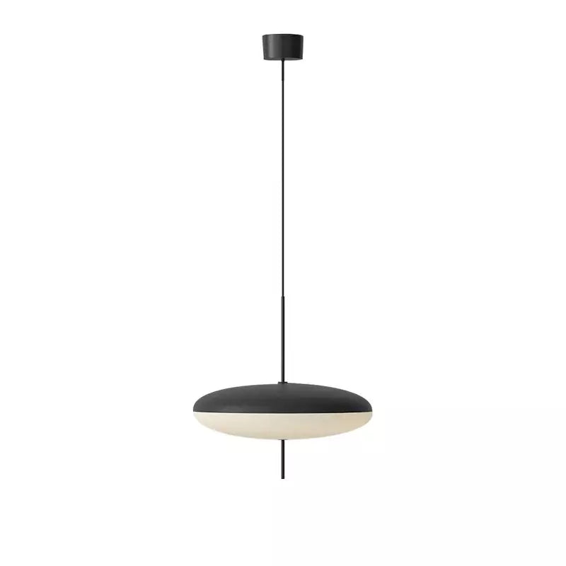 Elara Metal And Acrylic Pendant Light Eco LED Lamp